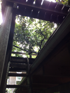 image-20120704194044.png